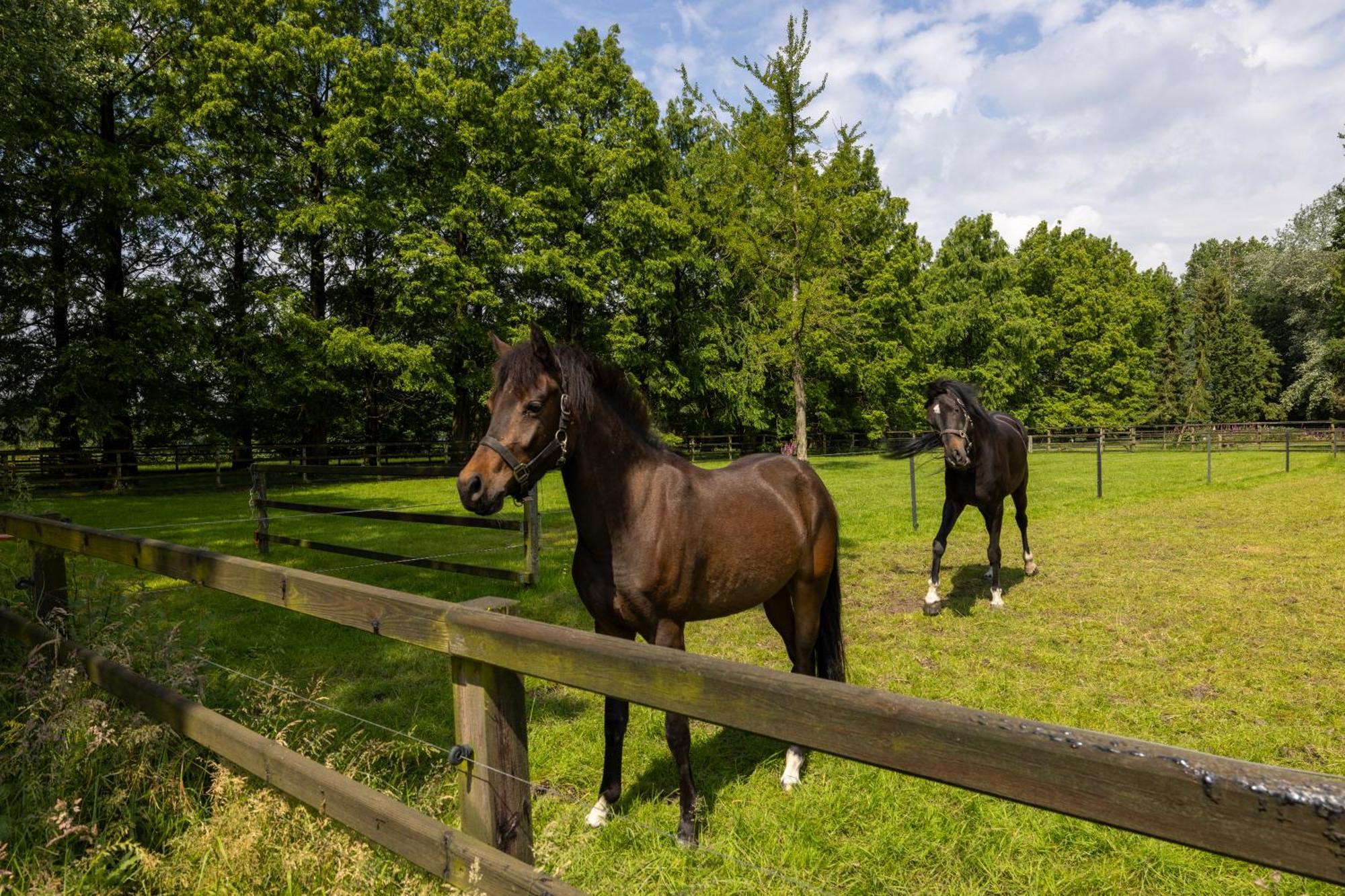 Luxe Hofstede Met Paardenstalling Lunteren Eksteriør bilde
